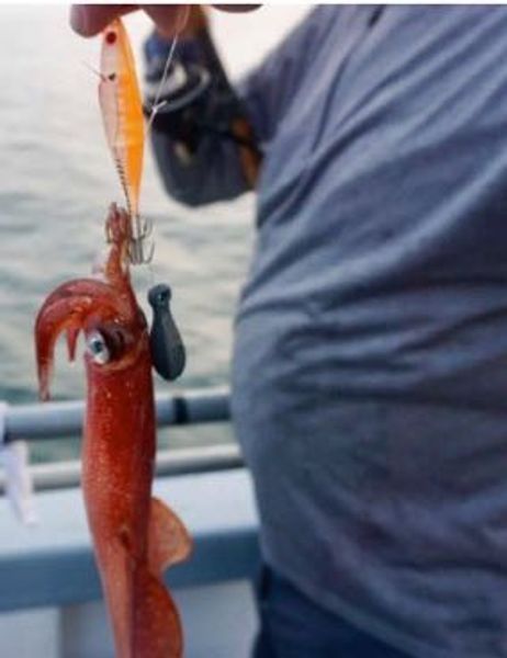 Squid Fishing Charter | 3/4 Day Shared Charter Trip 